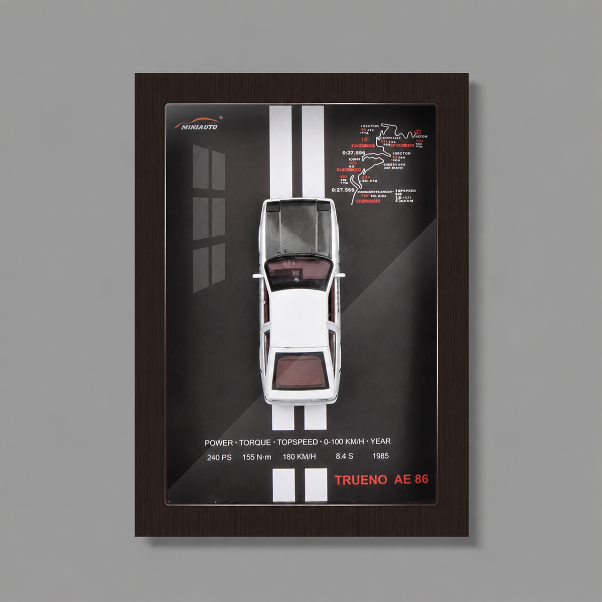 Velocity Frames ™ - Wall Mounted Model Frame