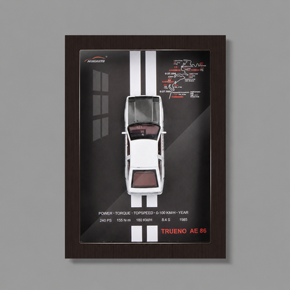 Velocity Frames ™ - Wall Mounted Model Frame
